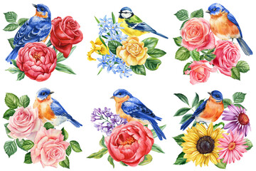 Watercolor birds and flowers botanical illustration, hand-painted songbirds with blooming roses, peonies lilacs on white