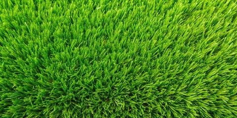 Vibrant Green Grass Texture A Lush and Detailed Close-Up of Verdant Blades