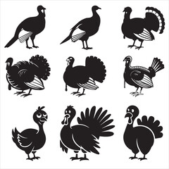 set vector various turkey, thanksgiving turkey silhouette	
