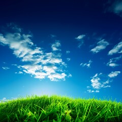 Close-Up Sunlit Green Grass with Blue Sky and Clouds