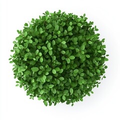 Fototapeta premium Vibrant Green Foliage Sphere Over White Background for Nature Themes