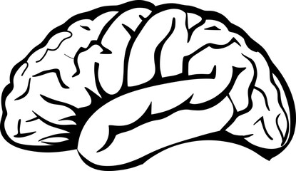 A detailed illustration of the human brain, symbolizing intelligence, creativity, and neural activity. Perfect for educational, medical, and scientific content related to cognition and mental processe