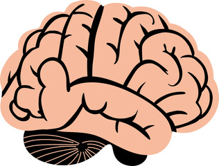 A detailed illustration of the human brain, symbolizing intelligence, creativity, and neural activity. Perfect for educational, medical, and scientific content related to cognition and mental processe
