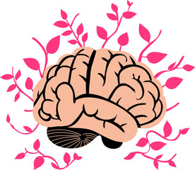 A detailed illustration of the human brain, symbolizing intelligence, creativity, and neural activity. Perfect for educational, medical, and scientific content related to cognition and mental processe