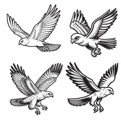 Detailed Cute Harrier Cartoon Outline Vector Silhouettes in Flying Pose
