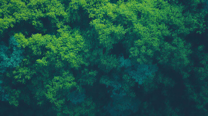 Fototapeta premium Lush green moss covered roof texture with natural organic pattern for design and decor