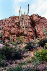 Film Image Sonora Desert Arizona