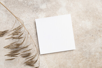 Square blank invite or wish card mockup with copy space for card design with botanical decor
