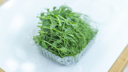 A top-down shot of a microgreens container placed on a white surface, emphasizing freshness and cleanliness.