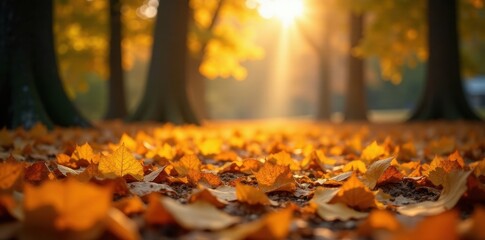 Golden leaves blanket forest floor, autumn sunlight dapples ground, sunlight, scene, woodland