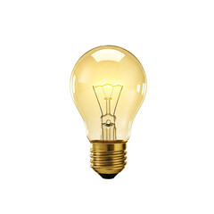 "Shiny Textured Light Bulb on White Background"