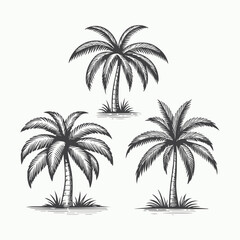 Fototapeta premium Simple Palm Tree Illustration for Clean Tropical Designs
