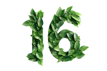 Green Leaves Form Number Sixteen, Transparent Background