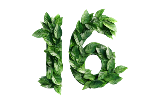 Green Leaves Form Number Sixteen, Transparent Background