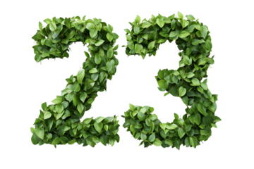 Leaves Create Number 23,  Transparent Background
