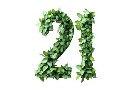 Green Leaves Form Number 21,  Transparent Background