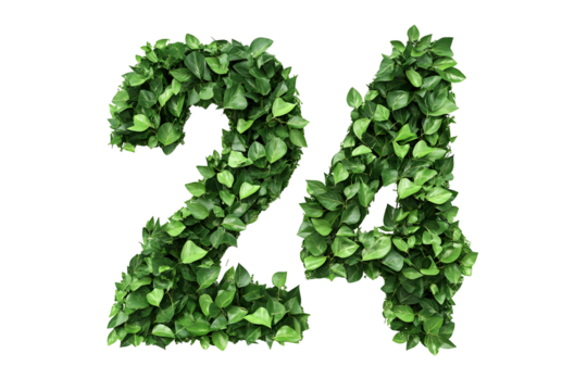 Leafy Number 24 Design, Transparent Background