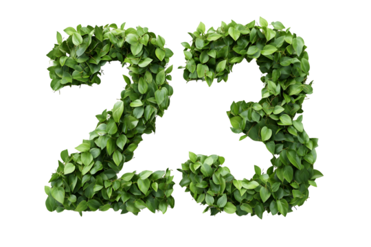 Leaves Create Number 23,  Transparent Background