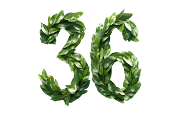 Leaves Form Number 36,  Transparent Background