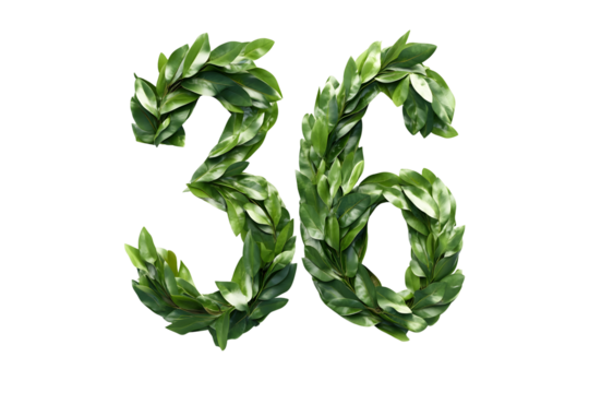 Leaves Form Number 36,  Transparent Background