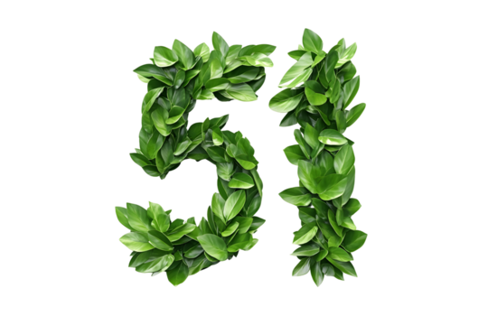 Leaves Form Number Fifty-One, Nature's Design, Transparent Background