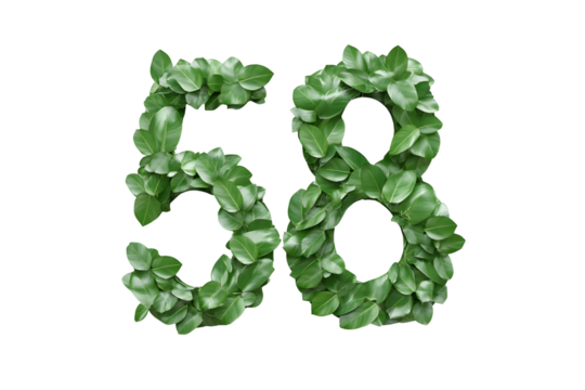 Leaves Form Number 58, Nature's Design, Transparent Background