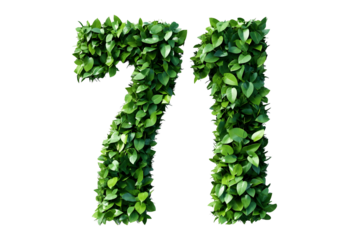 Leaves Form Number Seventy-One, Transparent Background