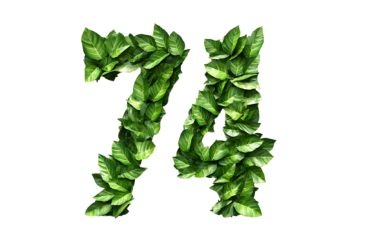 Leafy Number 74, Nature's Design, Transparent Background