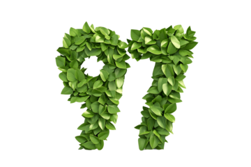 Leaves Form Number 97, Nature's Design, Transparent Background