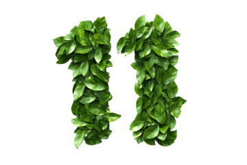 Leaves Form Number Eleven, Green, Transparent