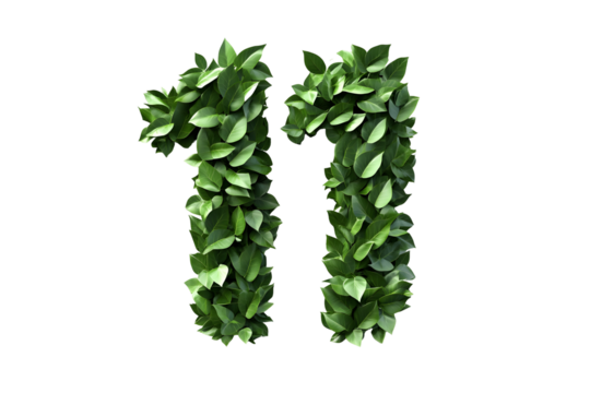 Leaves Form Number Eleven, Transparent Background