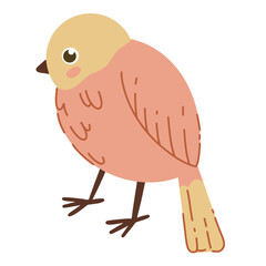 Cute bright bird. Vector illustration of a feathered bird in spring. Isolated on a white background. Cute cartoon picture for a postcard