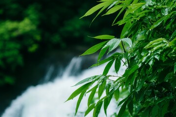 Obraz premium Tranquil Waterfall Scene - Lush green foliage frames a softly blurred waterfall, creating a serene and peaceful natural scene