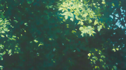 Fototapeta premium Sunlight streaming through lush forest canopy for nature background