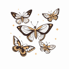 Colorful butterflies in flight against a white background, transformation