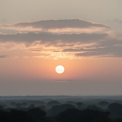 The beautiful evening sunlight