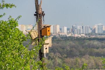 A homemade birdhouse on a pole, near an urban area with high-rise buildings, perched amidst green vegetation The birdhouse has a simple structure and is placed in an elevated position for better vis