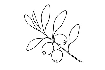 Olive branch in One continuous line drawing. Leaf tree with berry for banner or logo vegan healthy oil in simple linear style. Editable stroke. Doodle outline vector illustration