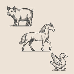 Hand-drawn Hand Drawn Animals 8971 illustration in a detailed and artistic style