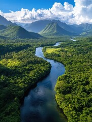 Fototapeta premium The image captures the breathtaking view of a tropical rainforest river valley in Hawaii. The dense greenery is dotted with towering mountains and cascading waterfalls, creating a serene atmosphere.