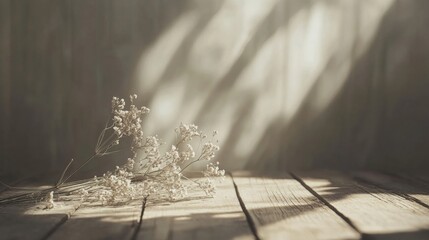 Dried white flowers resting on a wooden surface with soft sunlight creating shadows in a calming indoor setting. Generative AI