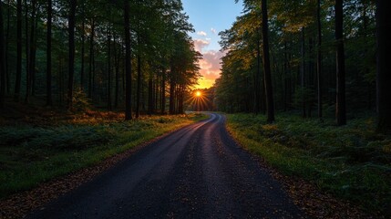 Obraz premium A winding forest road leads to a bright sun at sunset