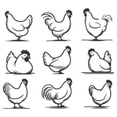 Fototapeta premium High-quality hand-drawn vector illustration of Hand Drawn Line Art Chiecken with differnet pose Illustration 01 in a sketch style, perfect for design projects and digital art.