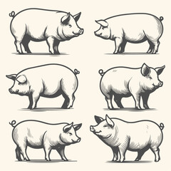 High-quality hand-drawn vector illustration of Hand Drawn Line Art pig wirh differnet pose Illustration in a sketch style, perfect for design projects and digital art.