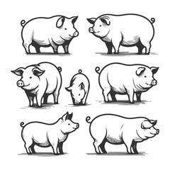 High-quality hand-drawn vector illustration of Hand Drawn Line Art pig with differnet pose Illustration 01 in a sketch style, perfect for design projects and digital art.