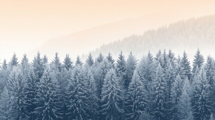 Fototapeta premium Serene Winter Pine Forest at Sunrise