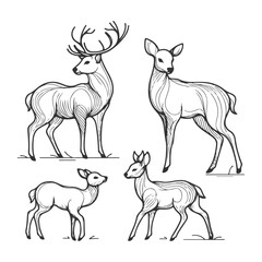 Obraz premium Line art illustration of deer with different pose 85