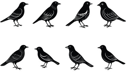 Bird vector shilhouette bundle set icon