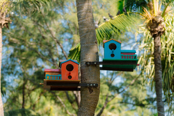 Two colorful wooden birdhouses mounted on a palm tree, surrounded by lush greenery and tropical trees in a peaceful resort setting.