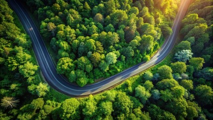 Aerial View of a Winding Road Through a Lush Green Forest Canopy at Sunset